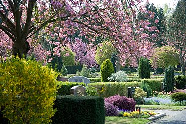 Friedhofsgärtner pflanzen bunte Frühlingsboten