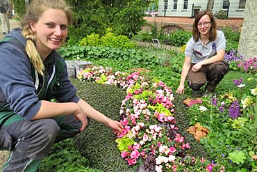 Sommerlich farbenfroh locken die AzuBienen-Gräber mit nektarreichen Stauden und Insektenhotels Bienen und Co. an. Foto: BdF, Bonn