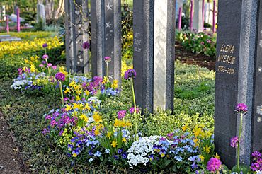 Die Natur erwacht zu neuem Leben: Auch auf den Gräbern wird es jetzt wieder bunt. Foto: BdF, Bonn